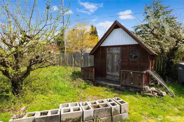 Yard view