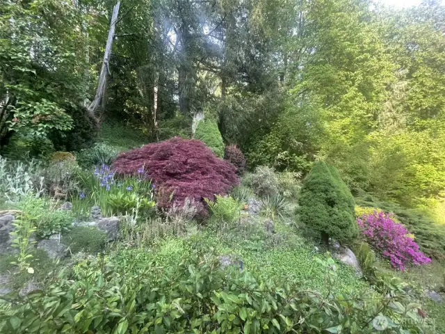 NW landscaping enhances the natural surroundings.