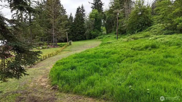 Arborvitae is on property line, Power line is the back line approx.