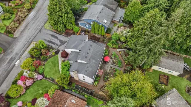 Aerial view of the composition roof and red umbrella patio table!