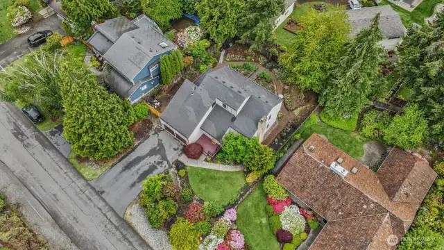Aerial relative to the neighbors.