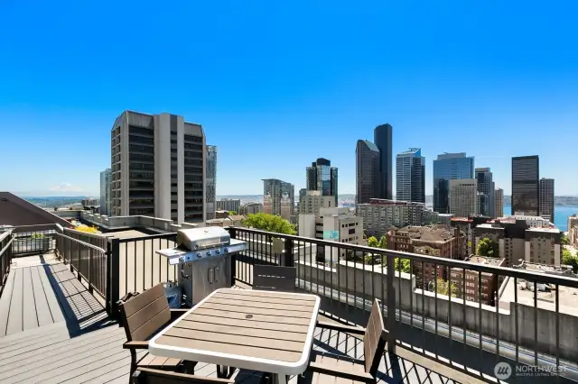 Roof Top Deck with Rainier and Water Views!!