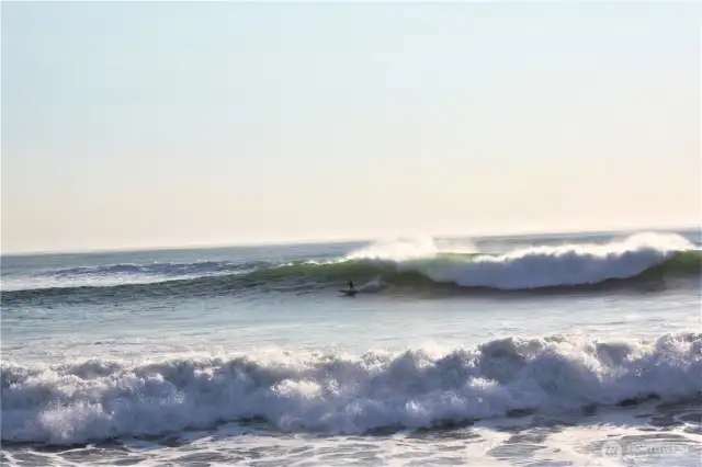 --- go catch a wave, or --