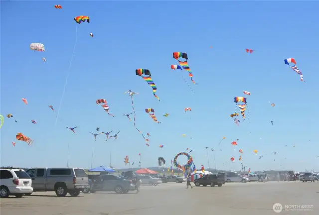 --fly a kite.