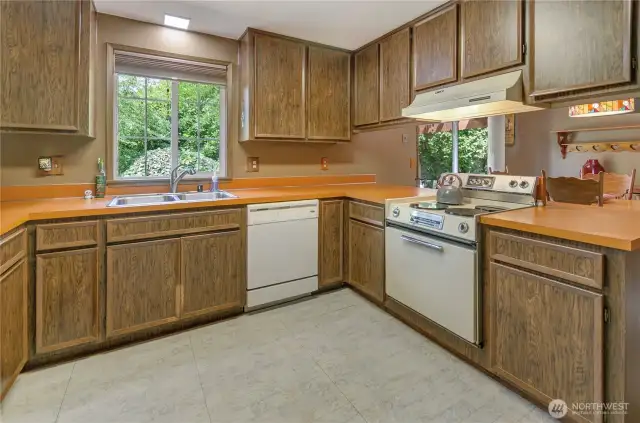 Kitchen Layout is perfect Triangle of sink, stove snd fridge to the left
