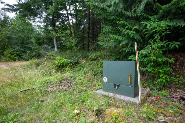 Beginning of gravel road through property
