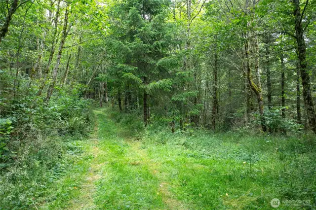 Driving through, has been cut back and maintained