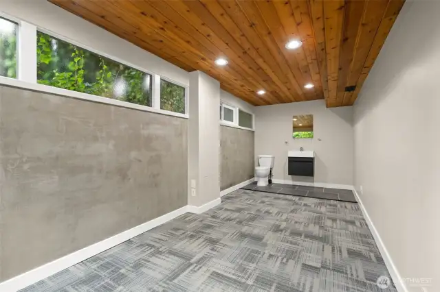 Lower level flex space. Half bath has been added.  System ready for shower installation.  Bedroom or short term rental space?  Screen or half wall can be added to separate the spaces.Separate entrance.