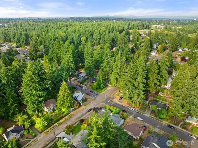 Lovely Fircrest neighborhood. Small town feel but close to everything!