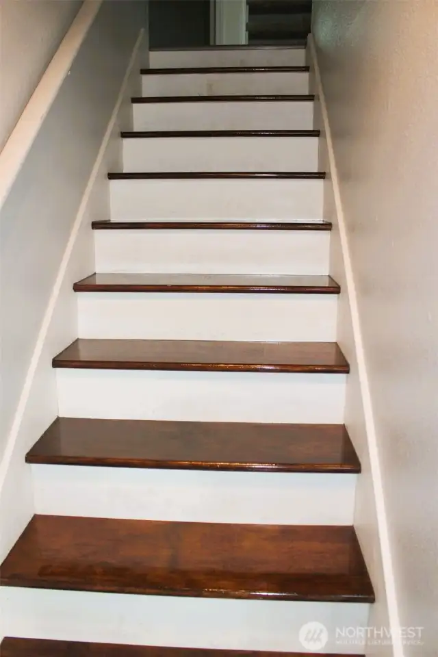 Gleaming entrance stairs from main floor.