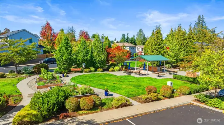 Park