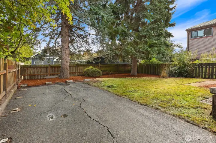 Back yard.