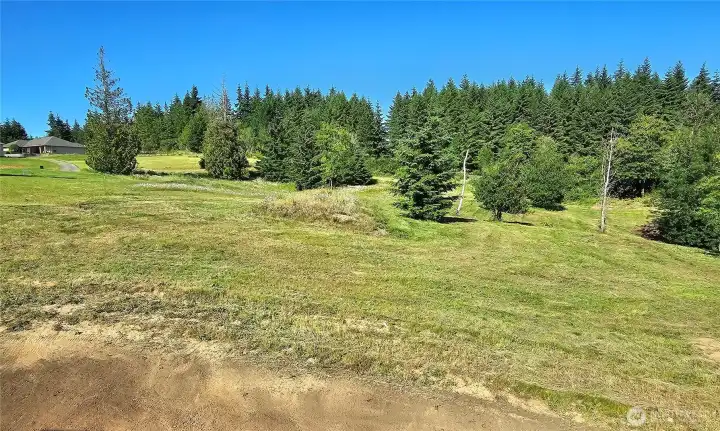 Nicely rolling land with scattered trees