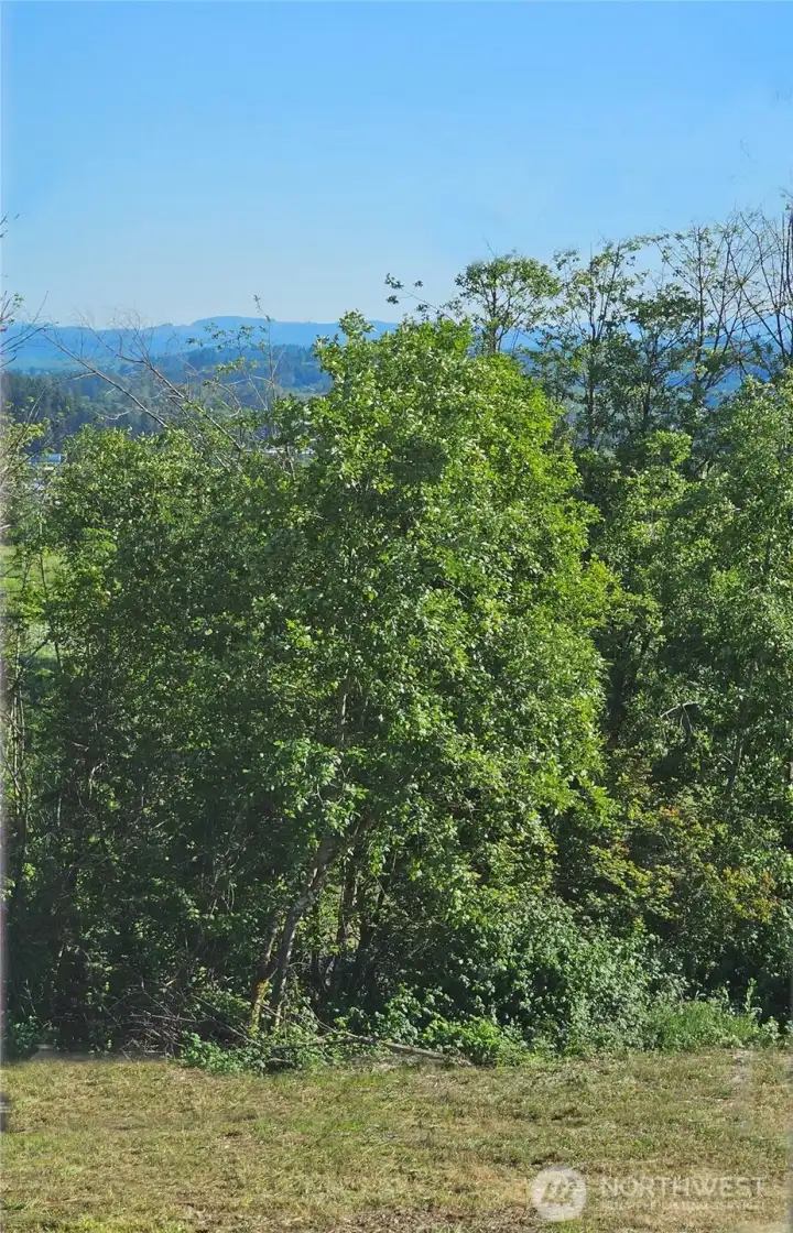 Peekaboo SW views over Centralia