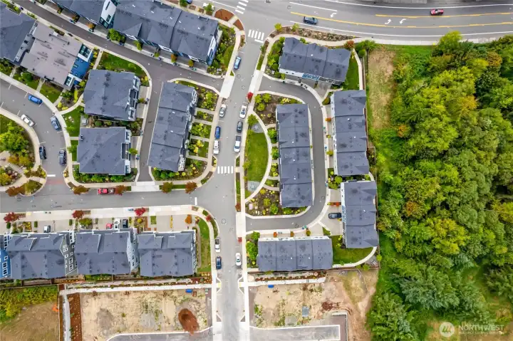 Overview of complex backing to green belt (right hand side of photo)