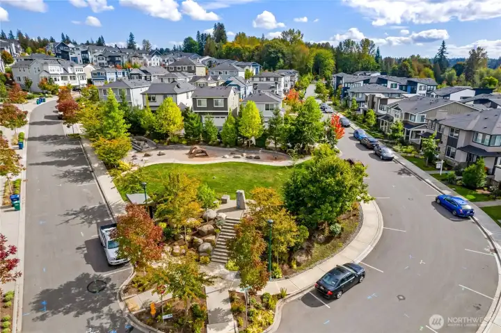 One of the common areas with grass lawn and playground. lots of street parking
