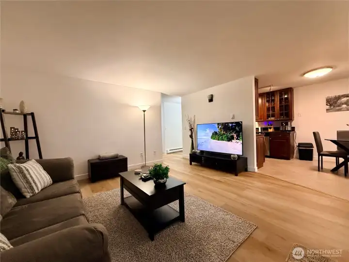 More of the living room.
