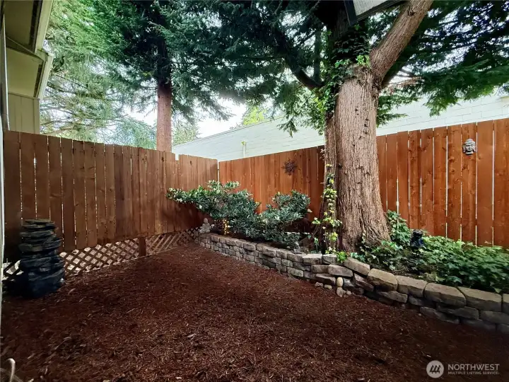 More of the backyard from the patio