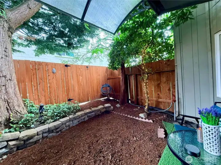another view of the backyard from the patio.
