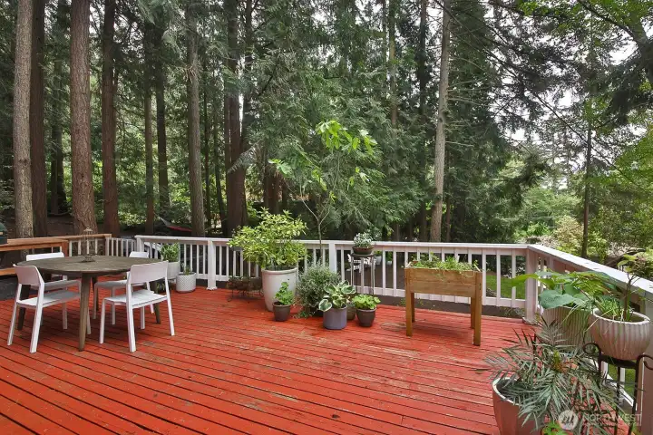 So much deck space!
