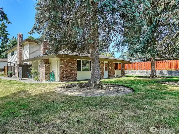 Perfect balance of both light and privacy!