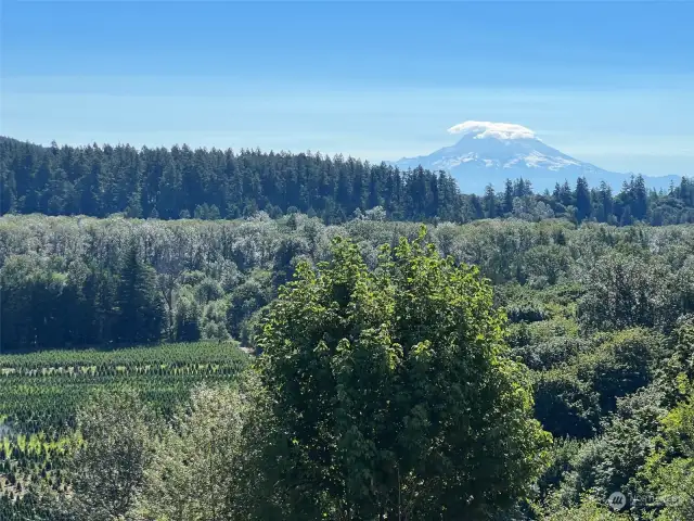 VIEW OF MT RAINIER FROM OUR BACK STREET IN THE PARK