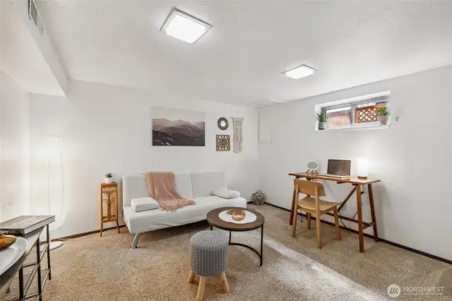 Lower Level Bedroom 2