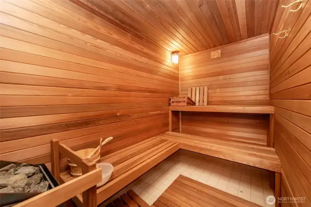 Large Sauna