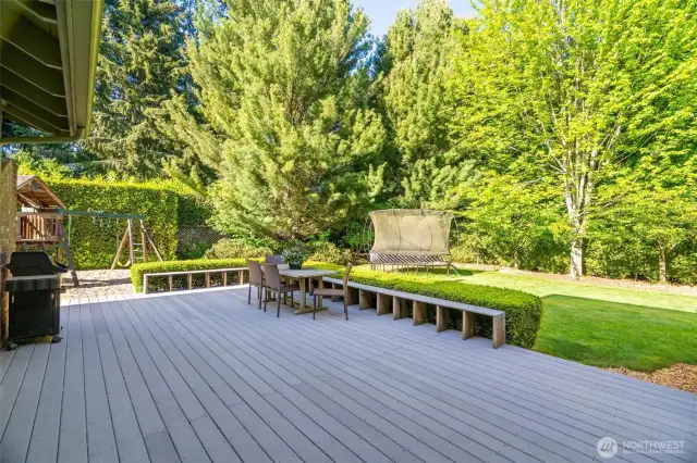 Backyard Deck