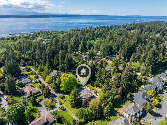 Drone View