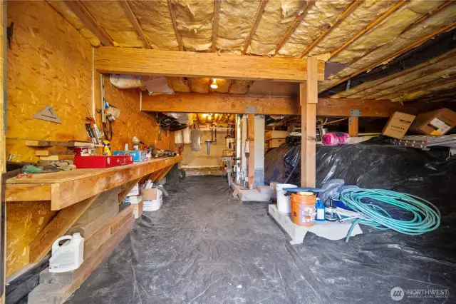Crawl space/Work Bench area