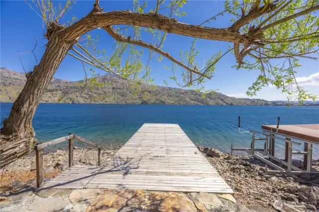 This tree provides perfect shade when leaves fill in for Summer!