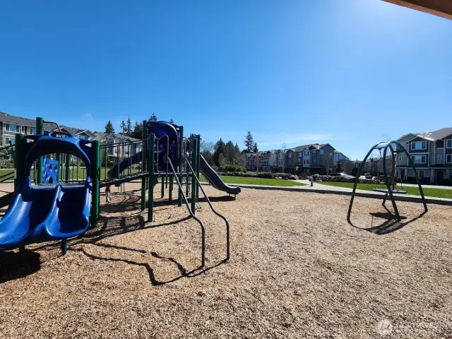 Buffalo Park Playground