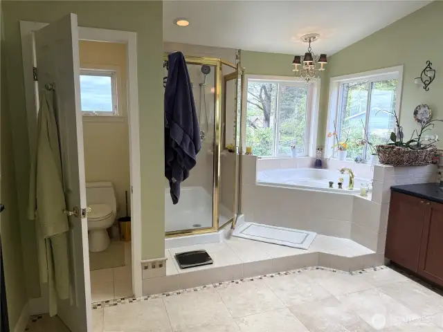 Primary bath has a water closet, large garden shower and jetted soaking tub with ocean views both from the water closet and the tub. Skylight not shown brings in lots of light.