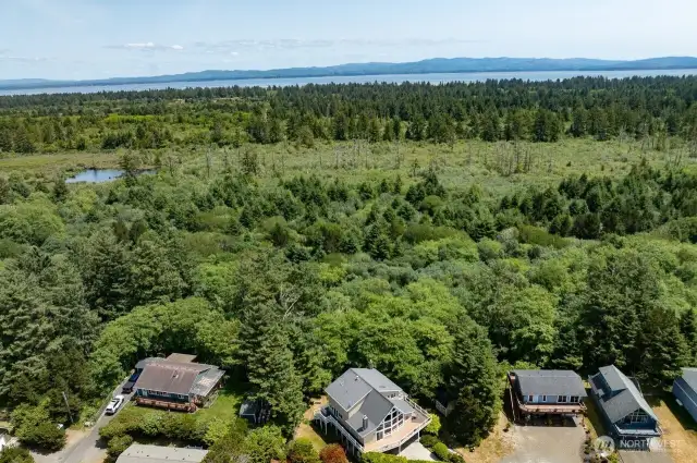 All of this, ocean view from most windows, forest view and close to beautiful Willapa Bay. A place for oyster and clam treats.
