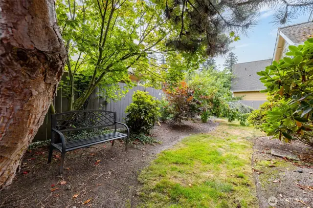 Back yard area with mature landscaping.