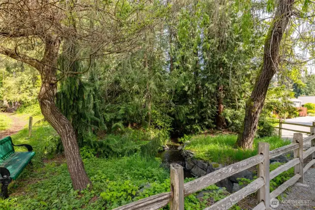 Green space to enjoy! Bridge over Maddox Creek where you can watch the salmon spawning!