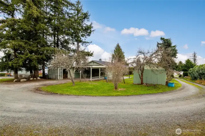 Great alley access, fruit trees storage shed, carport and shed for wood storage plus another outbuilding for garden tools, lawn mower, etc.