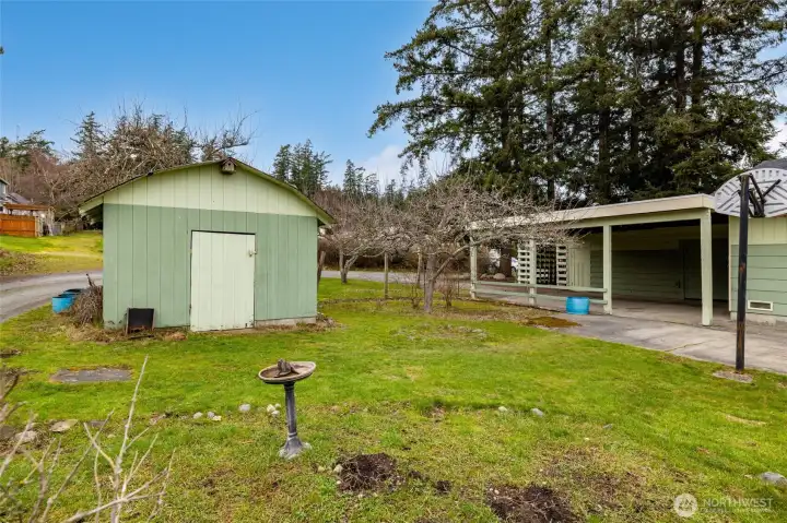 Another view of the garden area, outbuilding, carport and patio with basketball hoop!