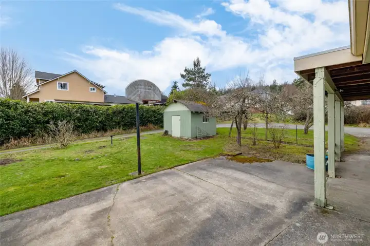 Another look at the backyard.