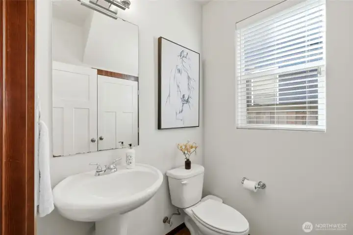 Downstairs bathroom with a large storage closet