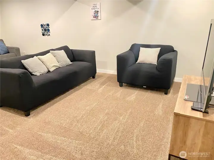 Spacious Rec Room downstairs perfect for movie night
