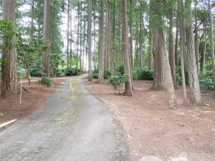 Paved driveway leading to the home