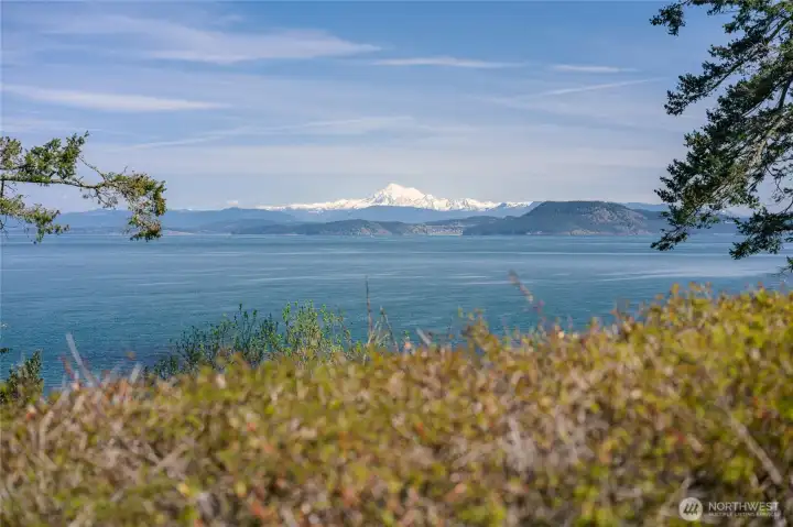 Never tire of this view in your backyard.