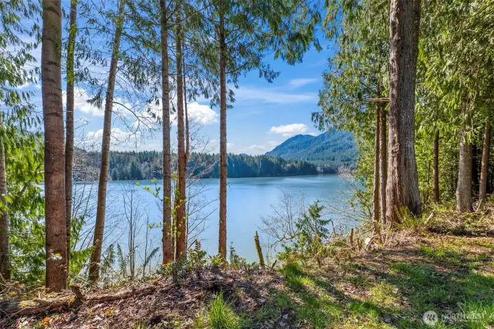 Look at these views!