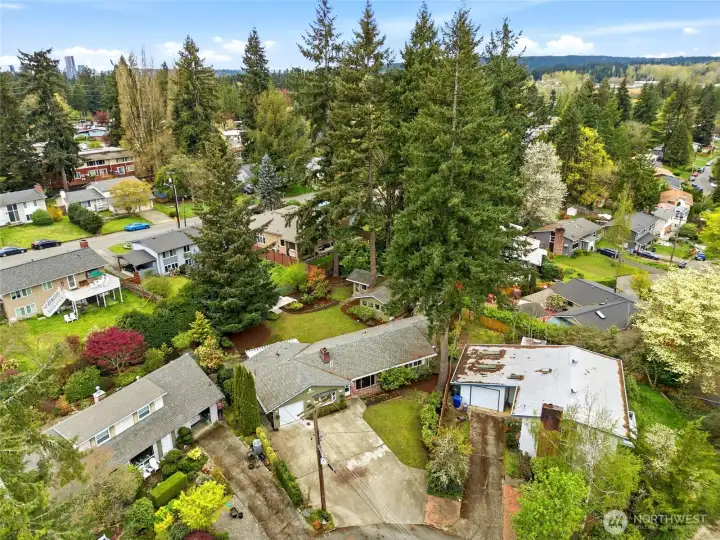 The one you have been waiting for!