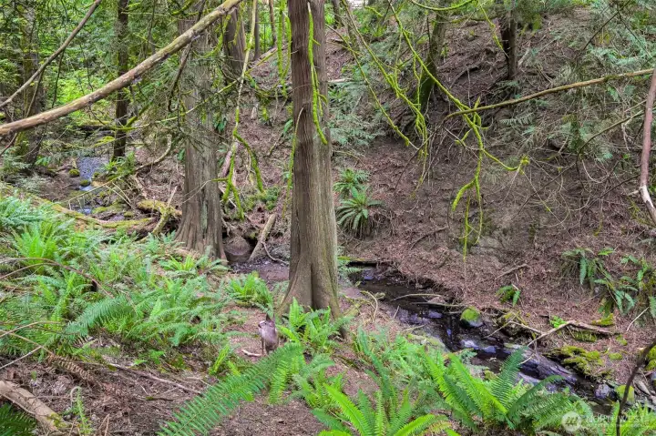 Creek and mature landscaping add to the property’s quiet and natural setting.