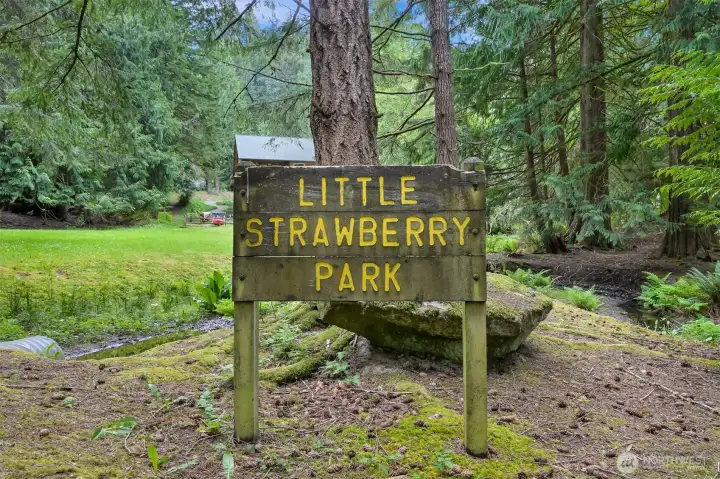 Little Strawberry Park nerby offers a peaceful natural setting with mature evergreens, open green space, and nearby creek access.