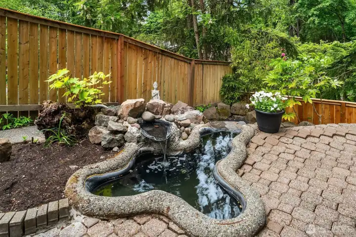 Back Yard Water Feature