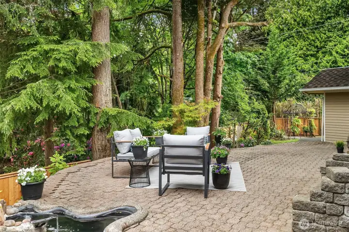 Private Back Yard Patio with Entertainment Areas